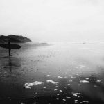 Sam Lee